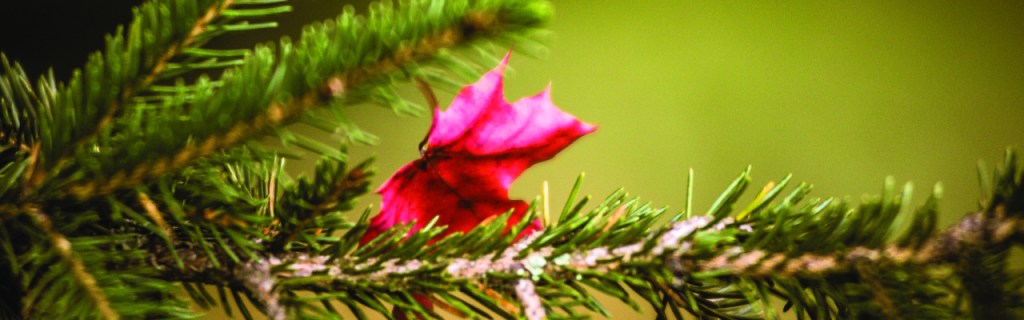 Teiniteologiaa: Lunari