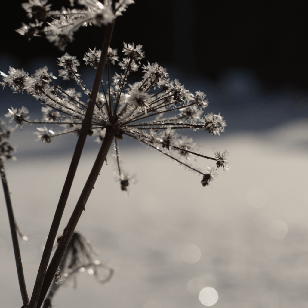 Rajanvetoa – Herran pyyhekumi